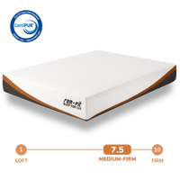 Thumbnail for REM-Fit® 600 Lux Hybrid Mattress